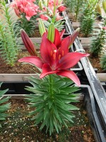 [5013 TinyGhost No01.JPG]